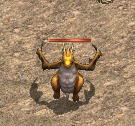 4.gif